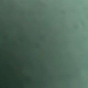 Meet your Posher, Leylani